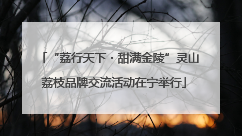 “荔行天下・甜满金陵”灵山荔枝品牌交流活动在宁举行