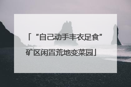 “自己动手丰衣足食”矿区闲置荒地变菜园