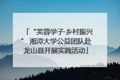 “芙蓉学子·乡村振兴” 湘潭大学公益团队赴龙山县开展实践活动