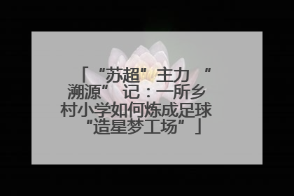 “苏超”主力 “溯源” 记：一所乡村小学如何炼成足球 “造星梦工场”