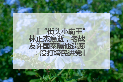 “街头小霸王”林正杰癌逝，老战友许国泰曝他遗愿：没打垮民进党