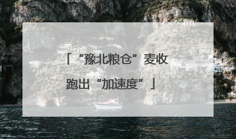 “豫北粮仓”麦收跑出“加速度”