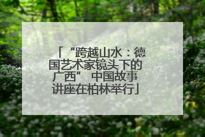 “跨越山水：德国艺术家镜头下的广西” 中国故事讲座在柏林举行