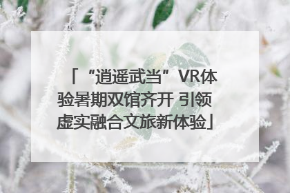 “逍遥武当”VR体验暑期双馆齐开 引领虚实融合文旅新体验