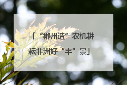 “郴州造”农机耕耘非洲好“丰”景
