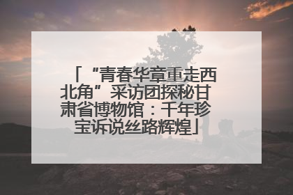 “青春华章重走西北角”采访团探秘甘肃省博物馆：千年珍宝诉说丝路辉煌