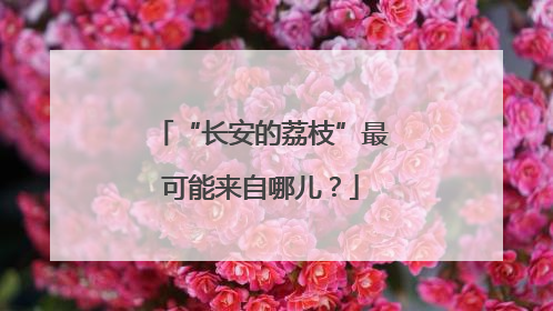 “长安的荔枝”最可能来自哪儿？