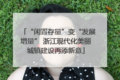 “闲置存量”变“发展增量” 浙江现代化美丽城镇建设再添新意
