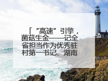 “高速”引擎，菌菇生金——记全省担当作为优秀驻村第一书记、湖南高速集团肖兴旺
