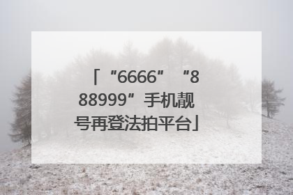 “6666”“888999”手机靓号再登法拍平台