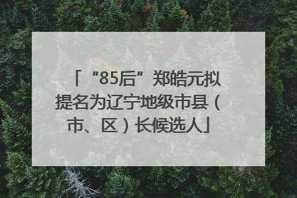 “85后”郑皓元拟提名为辽宁地级市县（市、区）长候选人