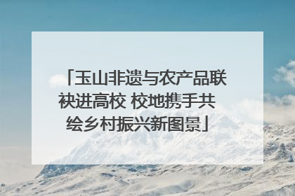 玉山非遗与农产品联袂进高校 校地携手共绘乡村振兴新图景