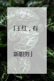 王红，有新职务