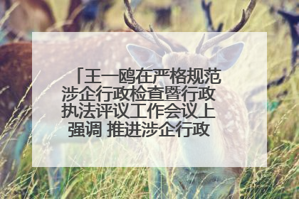 王一鸥在严格规范涉企行政检查暨行政执法评议工作会议上强调 推进涉企行政检查质效大幅提升