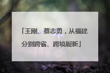 王刚、蔡志勇，从福建分别跨省、跨境履新