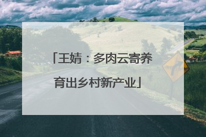 王婧：多肉云寄养 育出乡村新产业