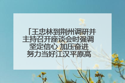 王忠林到荆州调研并主持召开座谈会时强调 坚定信心 加压奋进 努力当好江汉平原高质量发展排头兵
