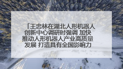 王忠林在湖北人形机器人创新中心调研时强调 加快推动人形机器人产业高质量发展 打造具有全国影响力的研发创新基地