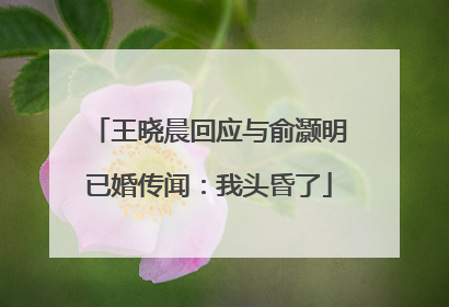 王晓晨回应与俞灏明已婚传闻：我头昏了