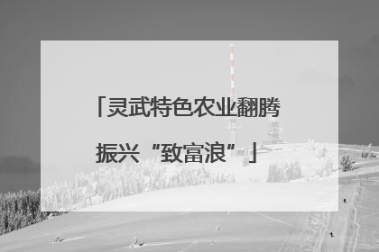 灵武特色农业翻腾振兴“致富浪”
