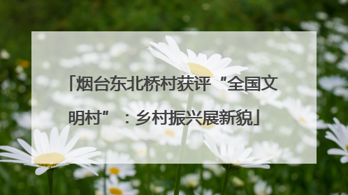 烟台东北桥村获评“全国文明村”：乡村振兴展新貌