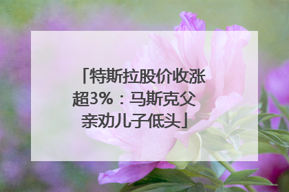 特斯拉股价收涨超3%：马斯克父亲劝儿子低头