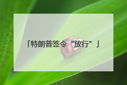 特朗普签令“放行”