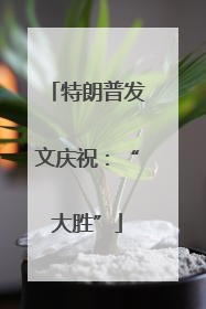 特朗普发文庆祝：“大胜”