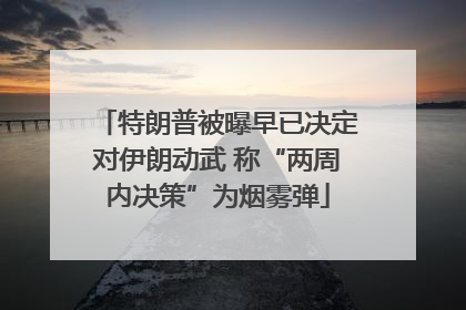 特朗普被曝早已决定对伊朗动武 称“两周内决策”为烟雾弹