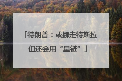 特朗普：或挪走特斯拉 但还会用“星链”