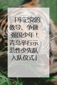牢记党的教导、争做强国少年！青岛举行示范性少先队入队仪式