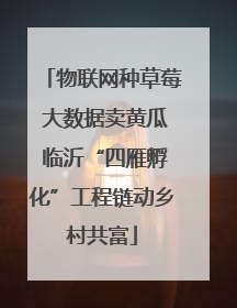 物联网种草莓 大数据卖黄瓜 临沂“四雁孵化”工程链动乡村共富