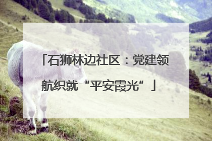 石狮林边社区：党建领航织就“平安霞光”