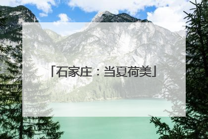 石家庄：当夏荷美