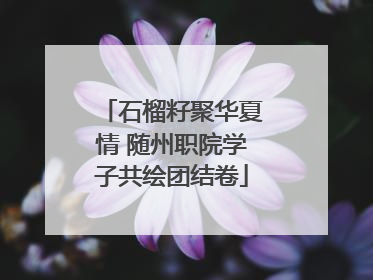 石榴籽聚华夏情 随州职院学子共绘团结卷