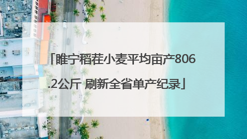 睢宁稻茬小麦平均亩产806.2公斤 刷新全省单产纪录