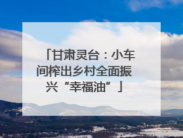 甘肃灵台：小车间榨出乡村全面振兴“幸福油”