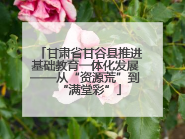 甘肃省甘谷县推进基础教育一体化发展——从“资源荒”到“满堂彩”