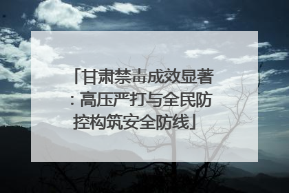 甘肃禁毒成效显著：高压严打与全民防控构筑安全防线