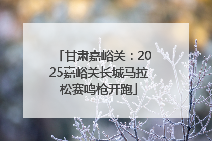 甘肃嘉峪关：2025嘉峪关长城马拉松赛鸣枪开跑