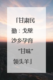 甘肃民勤：戈壁沙乡孕育“甘味”领头羊