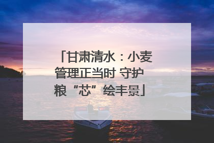 甘肃清水：小麦管理正当时 守护粮“芯”绘丰景