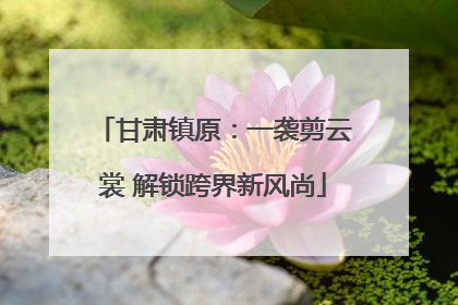 甘肃镇原：一袭剪云裳 解锁跨界新风尚