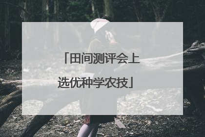 田间测评会上选优种学农技