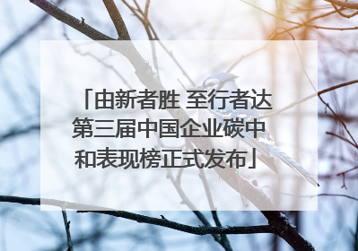 由新者胜 至行者达 第三届中国企业碳中和表现榜正式发布
