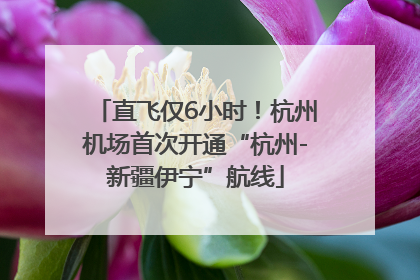 直飞仅6小时！杭州机场首次开通“杭州-新疆伊宁”航线