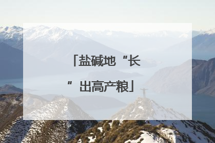 盐碱地“长”出高产粮