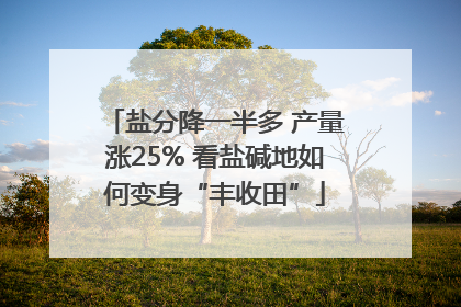 盐分降一半多 产量涨25% 看盐碱地如何变身“丰收田”