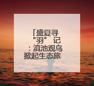 盛夏寻 “羽” 记：滇池观鸟掀起生态旅游新风尚