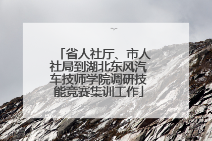 省人社厅、市人社局到湖北东风汽车技师学院调研技能竞赛集训工作